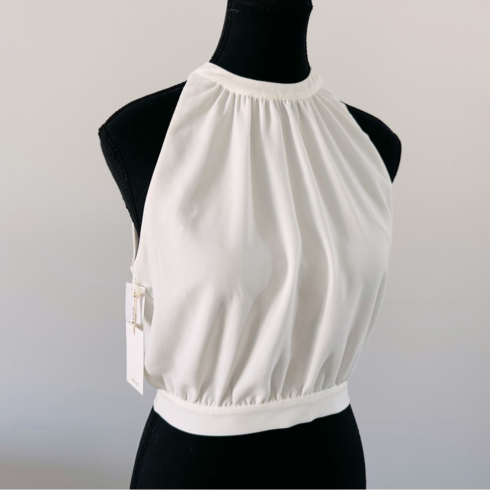 NWOT Sz S ARITZIA WILFRED Patrice Blouse in Oak